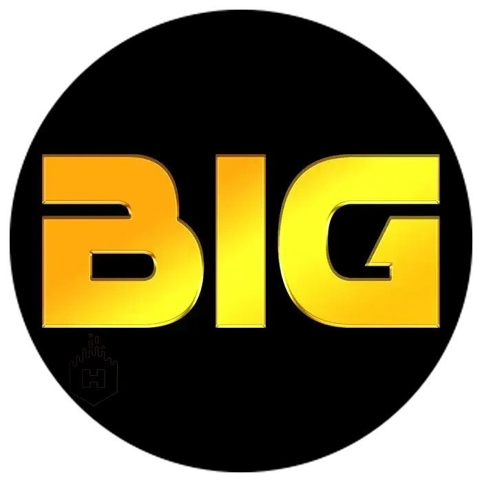 BIGHOKI - Game MMORPG Seru dan Menarik untuk Semua